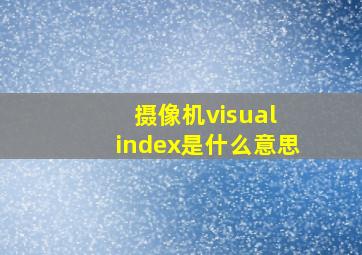 摄像机visual index是什么意思